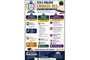 🎓 Nos Offres de Formation